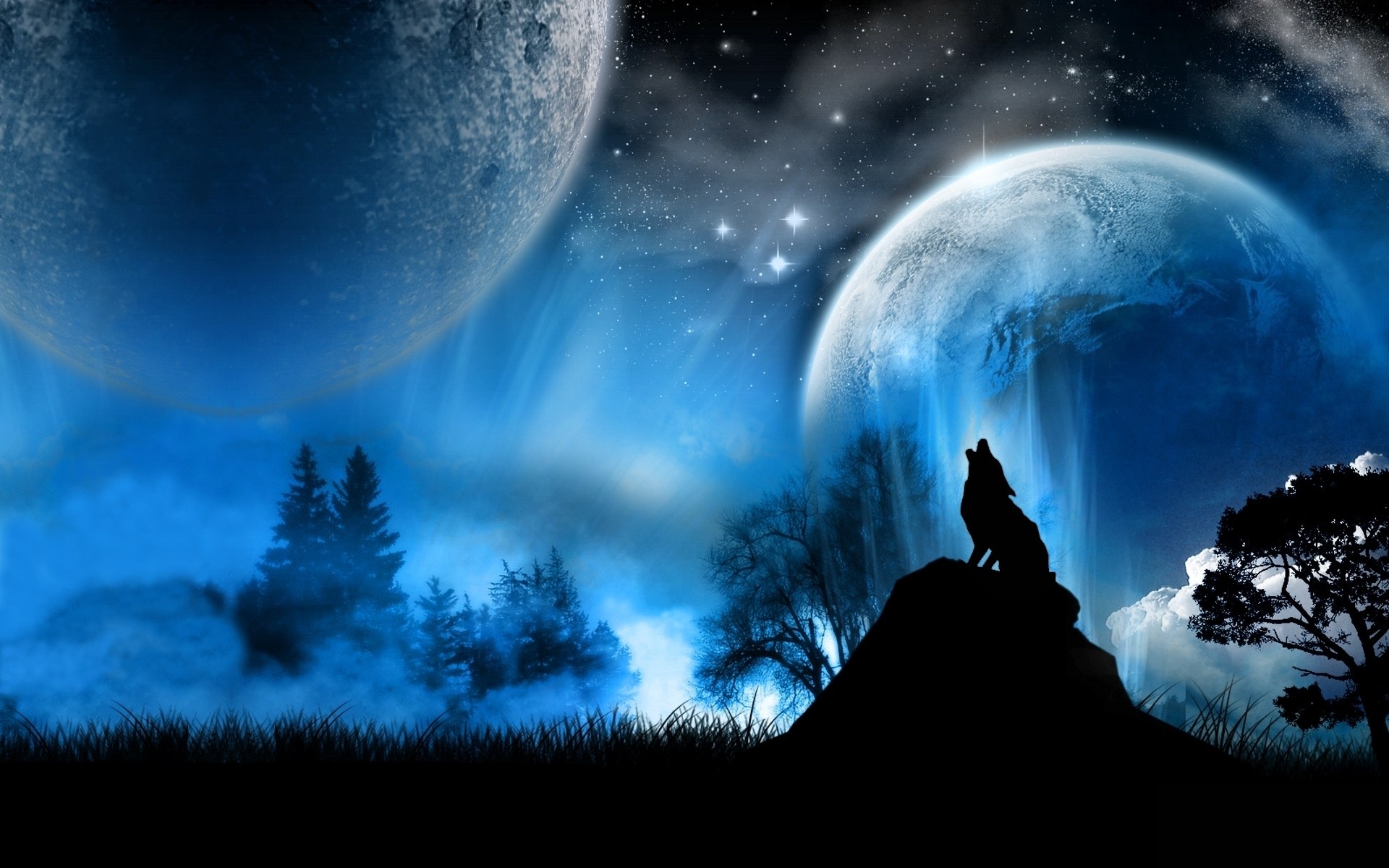   bleu  loup nuit lune toiles hurlements bleu toile lunes